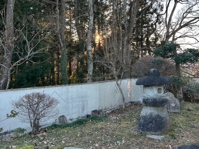 専門店の伐採・抜根サービス！元気とパワーで速攻駆けつけます！サービスの画像