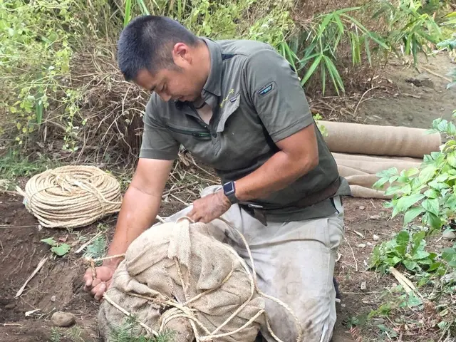 専門店の伐採・抜根サービス！元気とパワーで速攻駆けつけます！サービスの画像