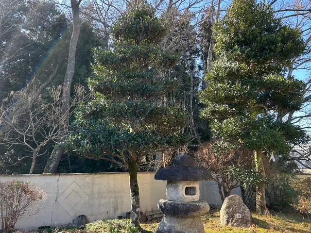 専門店の伐採・抜根サービス！元気とパワーで速攻駆けつけます！サービスの画像