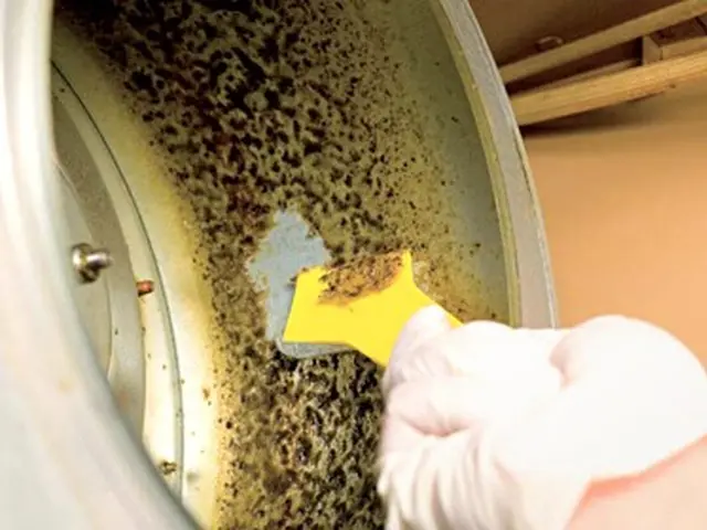 レンジフードクリーニングサービスの画像