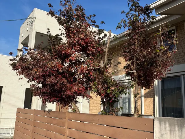 庭木の伐採・抜根おまかせください！◎お見積もり・ご相談無料◎サービスの画像