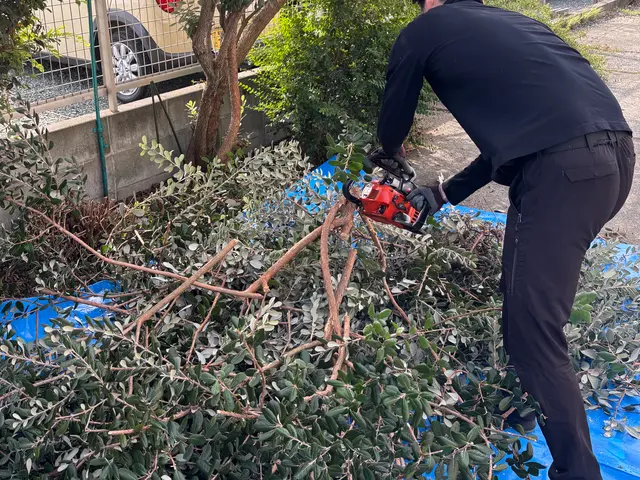庭木の伐採・抜根おまかせください！◎お見積もり・ご相談無料◎サービスの画像