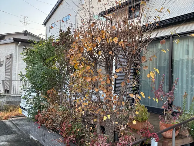 庭木の伐採・抜根おまかせください！◎お見積もり・ご相談無料◎サービスの画像