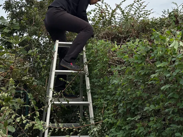 庭木の伐採・抜根おまかせください！◎お見積もり・ご相談無料◎サービスの画像