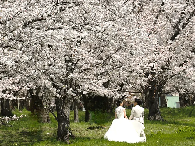 愛媛県密着、人生のお祝いを素敵にメモリーします！プロの技術で納得の仕上がりに！