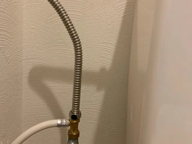 キャンペーン価格実施中！【PayPay支払可能】期間限定11月末までこのお値段！サービスの画像