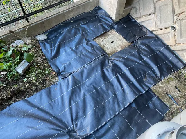 駐車代金お客様負担0円！損害保険加入済で万が一の際にも安心ですサービスの画像