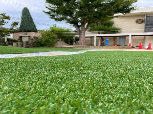 地球にも人にも優しい人工芝をご自宅にサービスの画像