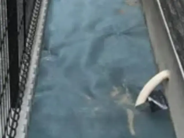 防草シート施工サービスの画像