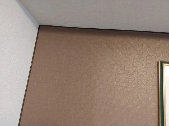 【業界初のサービス】水回りの他、デザインコーキングも対応 (๑•̀ㅁ•́๑)૭✧サービスの画像