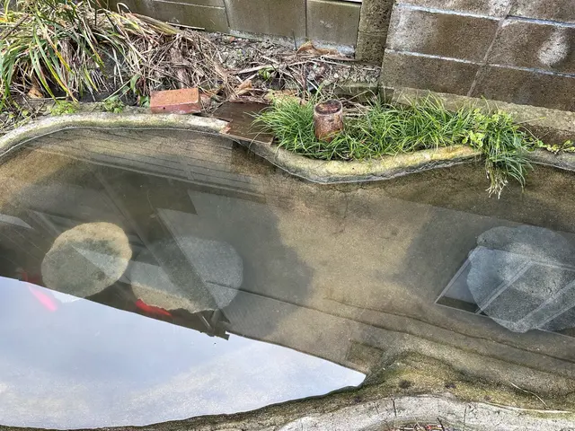 《年中無休》八街市から伺います◆豊富な経験と知識で安心！サービスの画像