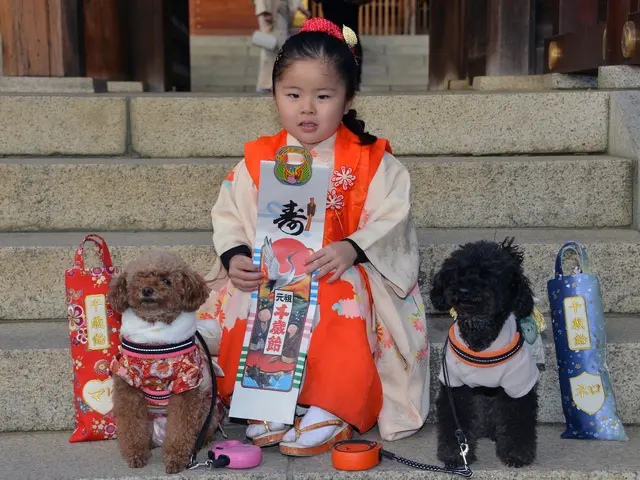 プロ業歴２６年。大切な家族である動物とのひとときを、心を込めて多数撮影いたしますサービスの画像