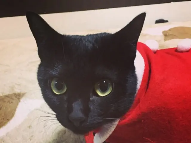 香川県の地域密着で安心なまごころ工房へご相談ください！サービスの画像