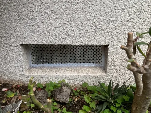 ネズミ駆除｜侵入口封鎖で再発防止まで対応。まずは無料の調査をお申し込みください！サービスの画像