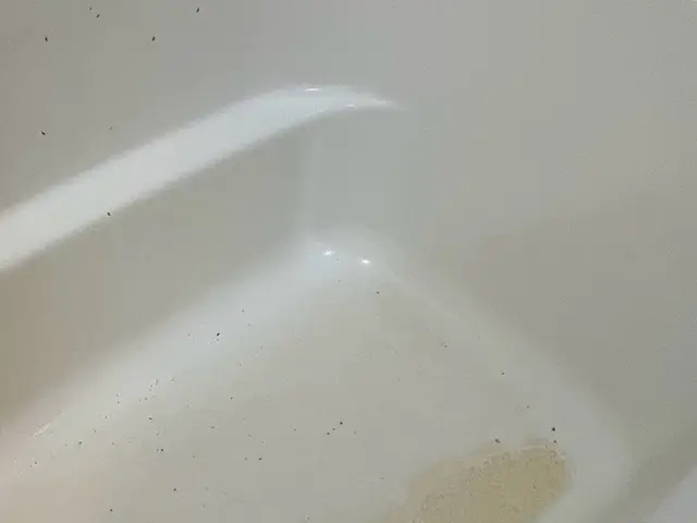 湯はり後に気になる浮遊物はありませんか？それは湯垢や皮脂汚れが溜まったものです！サービスの画像