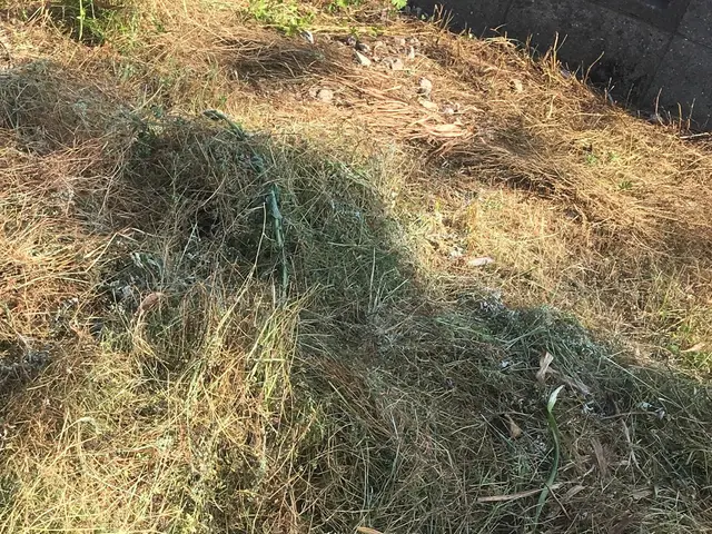 ＼かゆいところに手が届く／みなさまの「お困りごと」解決いたします！サービスの画像