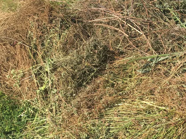 ＼かゆいところに手が届く／みなさまの「お困りごと」解決いたします！サービスの画像