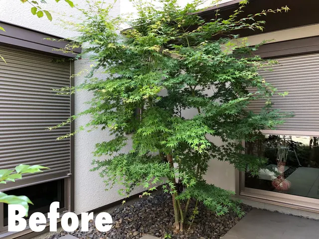 ◆庭師歴12年◆技術と真心に自信アリ♪笑顔になっていただける仕事をお約束します！サービスの画像