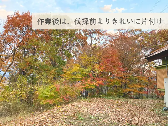 伐採の経験豊富で安心。丁寧な施行で好評いただいていますサービスの画像