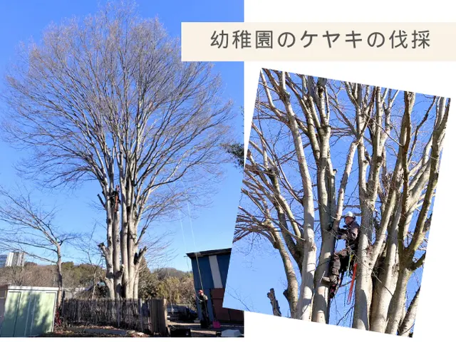 伐採の経験豊富で安心。丁寧な施行で好評いただいていますサービスの画像