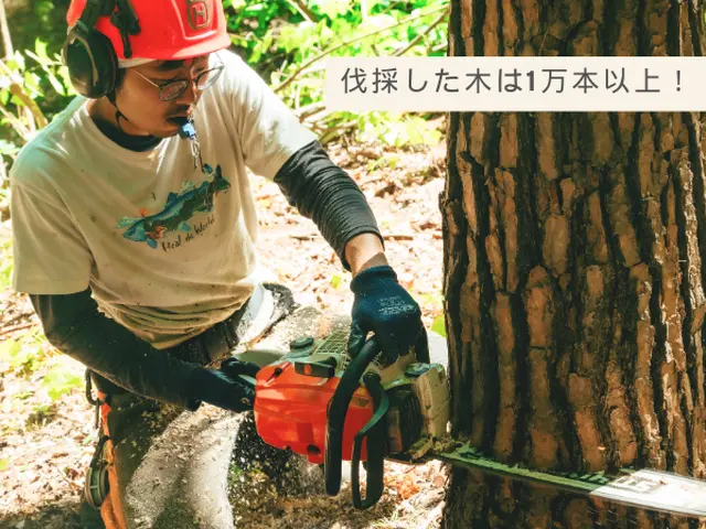 伐採の経験豊富で安心。丁寧な施行で好評いただいていますサービスの画像