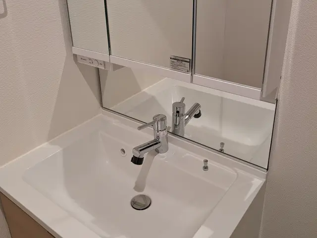 【格安×高品質】新生活応援！水垢・カビを一掃！プロの洗面所洗浄◆輝き復活◆サービスの画像