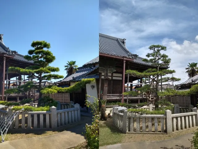 神戸・明石　1級造園技能士が手入れ、　庭木にやさしい透かし剪定で庭に光と風を。サービスの画像