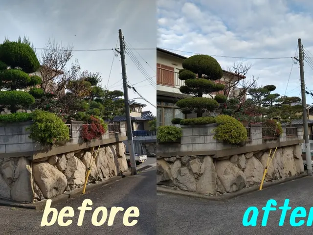 神戸・明石　1級造園技能士が手入れ、　庭木にやさしい透かし剪定で庭に光と風を。サービスの画像