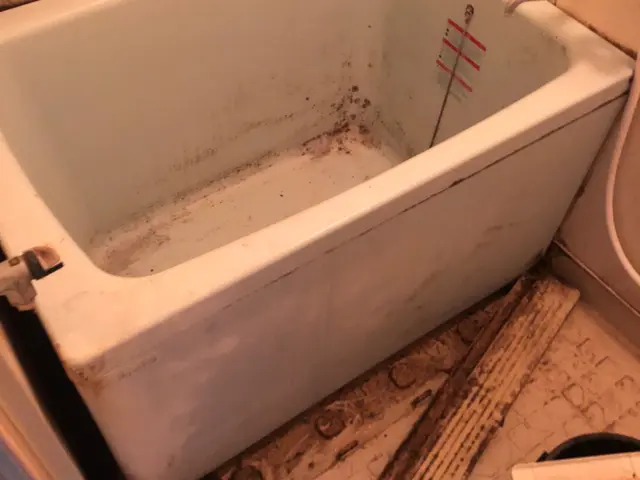 【新生活応援！】洗浄力に自信あり！追加費用一切無し！損害保険加入で安心☆サービスの画像