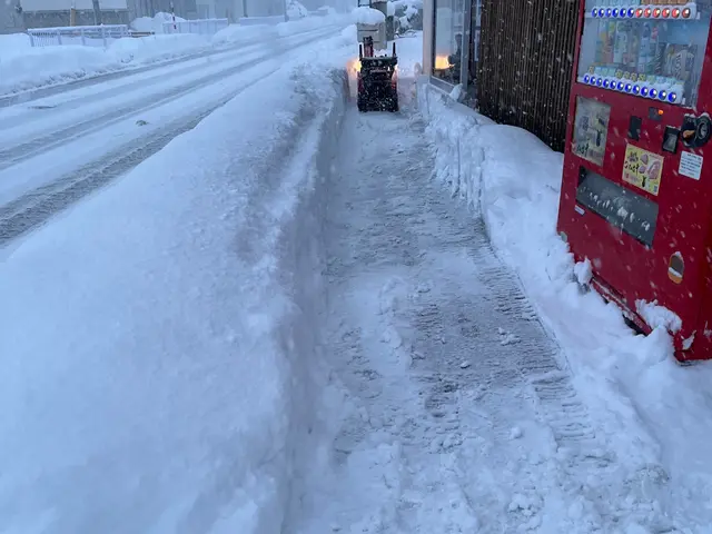 雪かきします！サービスの画像