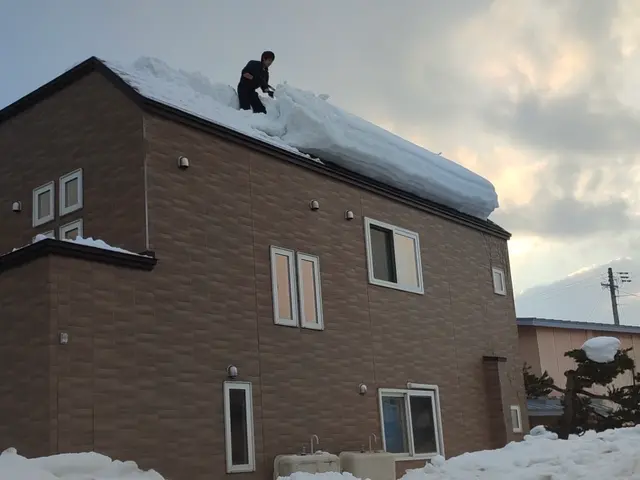 雪かきします！サービスの画像