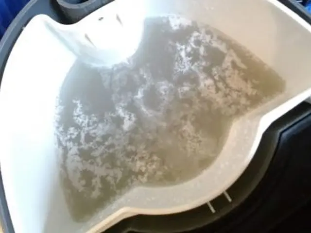 ! ダニカビ毛玉全て無料!オーガニック洗剤ダニよけ洗剤使用サービスの画像