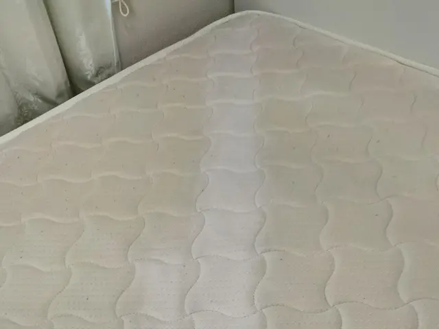 ! ダニカビ毛玉全て無料!オーガニック洗剤ダニよけ洗剤使用サービスの画像