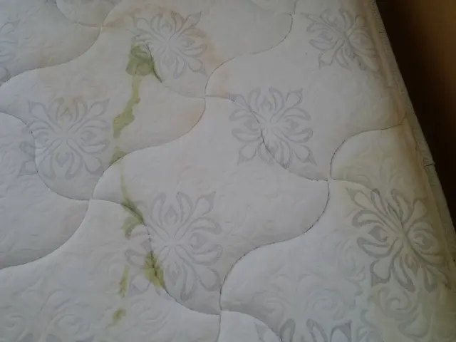 ! ダニカビ毛玉全て無料!オーガニック洗剤ダニよけ洗剤使用サービスの画像