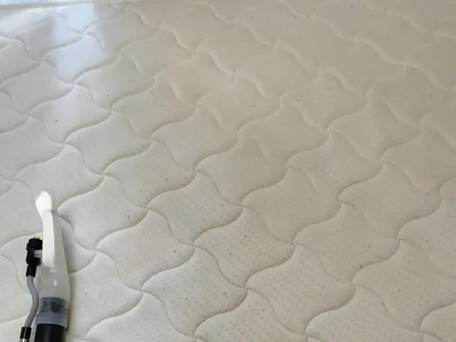 ! ダニカビ毛玉全て無料!オーガニック洗剤ダニよけ洗剤使用サービスの画像