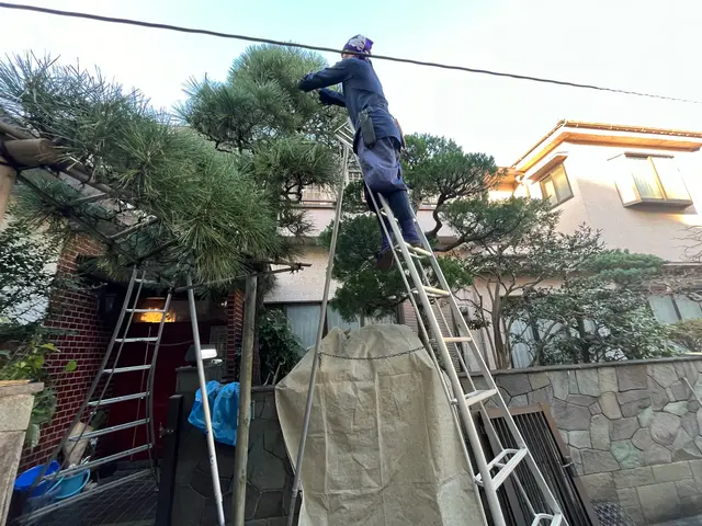 【樹木を活かす手入れ】業歴20年以上☆1級造園施工管理技士☆サービスの画像