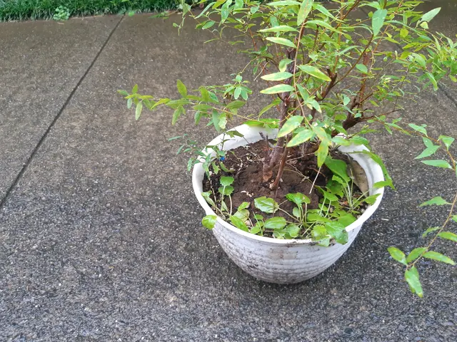 【年中無休で対応◎】プロの技術で快適な暮らしをお届けします！サービスの画像