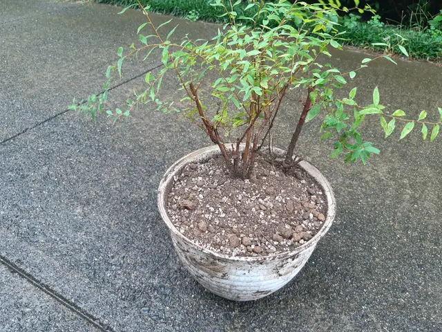 【年中無休で対応◎】プロの技術で快適な暮らしをお届けします！サービスの画像