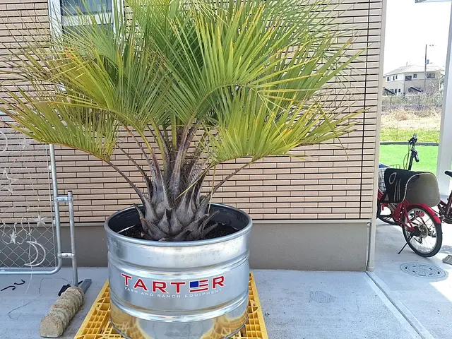 【年中無休で対応◎】プロの技術で快適な暮らしをお届けします！サービスの画像