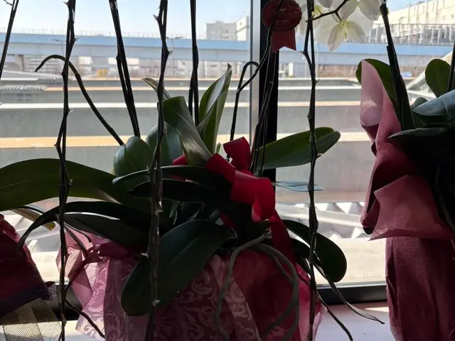 【年中無休で対応◎】プロの技術で快適な暮らしをお届けします！サービスの画像