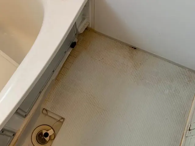 【セットでお得】お風呂の汚れ気になりませんか？写真の私が対応致します！！サービスの画像