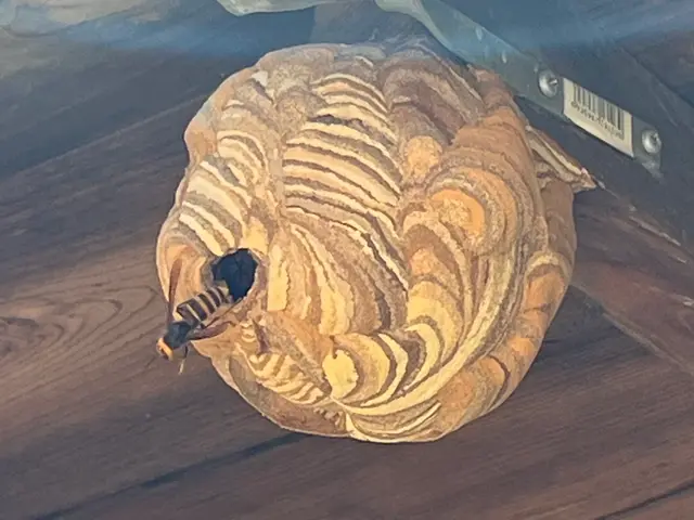 郡山から出発【当日作業対応可能】店長直接訪問で高所・屋根裏も安心の迅速作業サービスの画像