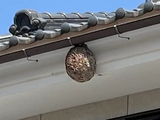 郡山から出発【当日作業対応可能】店長直接訪問で高所・屋根裏も安心の迅速作業サービスの画像