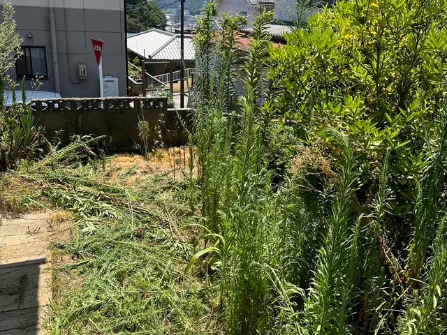 店長が直接お伺いする為安心！写真・現地出張見積もり無料！全力でご対応致します。サービスの画像