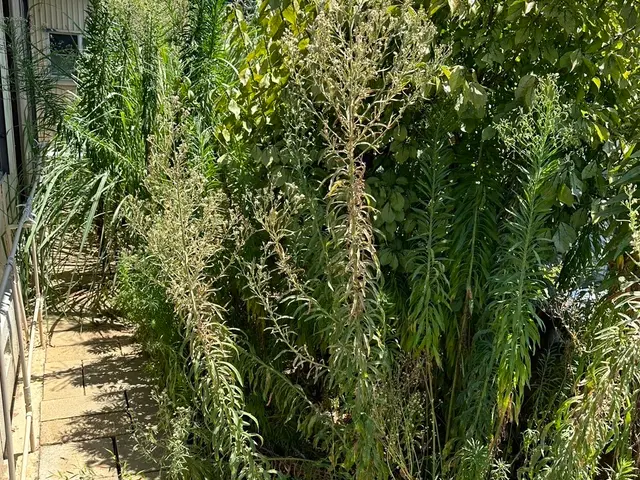 店長が直接お伺いする為安心！写真・現地出張見積もり無料！全力でご対応致します。サービスの画像