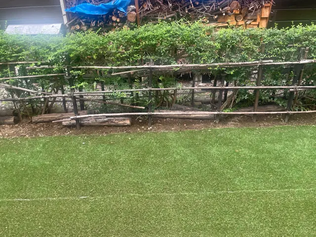 草むしり　手作業サービスの画像