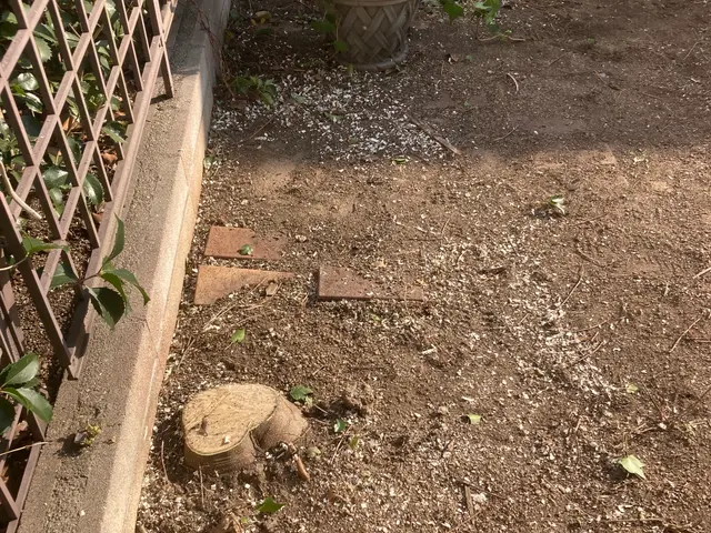 【女性スタッフも可】よく怖いと言われますが笑顔で明るくお伺いします！サービスの画像