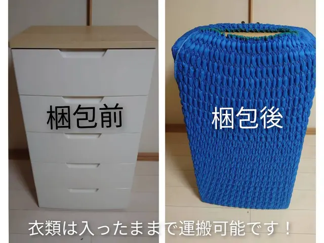 便利屋TRY（株）に大型冷蔵庫、ドラム式洗濯機の2階搬入、搬出はお任せ下さい！サービスの画像