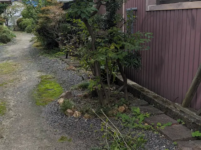 雑草刈り、庭木の手入れ、庭師よりも安くでお庭を綺麗にします。まずは見積もりからサービスの画像