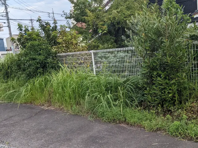 雑草刈り、庭木の手入れ、庭師よりも安くでお庭を綺麗にします。まずは見積もりからサービスの画像